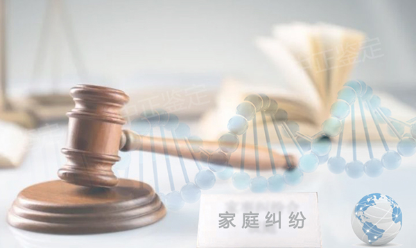 成都司法亲子鉴定条件和流程,成都司法亲子鉴定出结果要多久